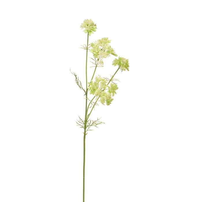 34" Queen Ann's Lace Spray X 4