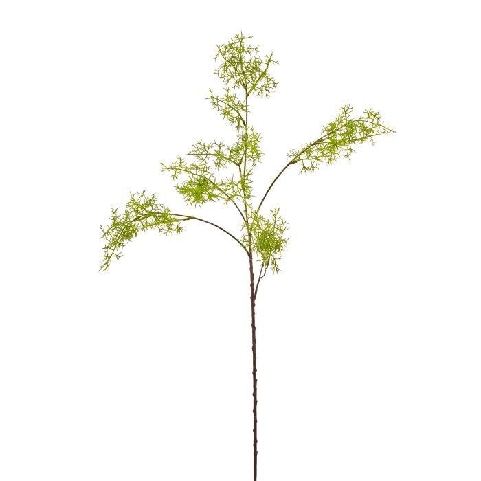 38" Smoke Tree Bloom Branch