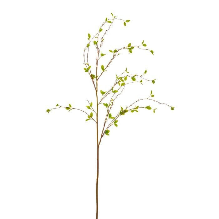 56" New Growth Budding Willow Branch