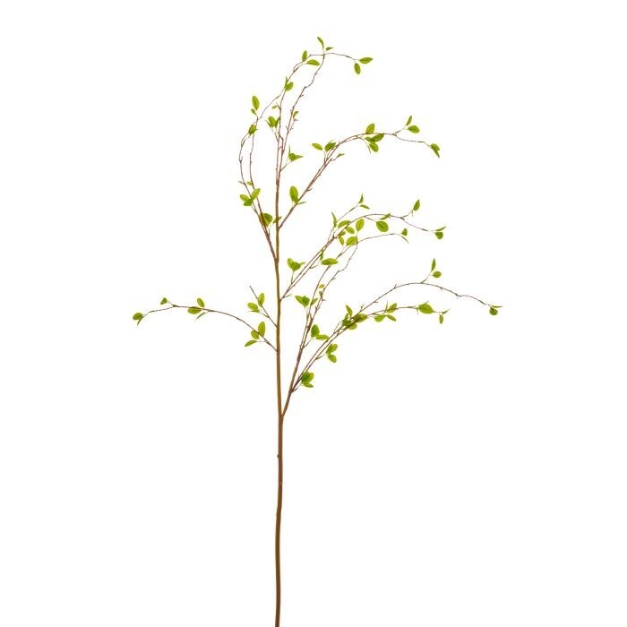 56" New Growth Budding Willow Branch