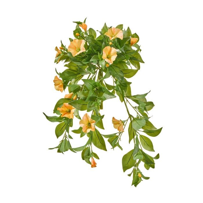 25"Uv Hanging Petite Petunia Plant