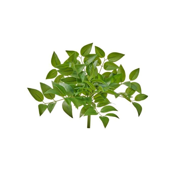 14" Uv Pe Ruscus Plant