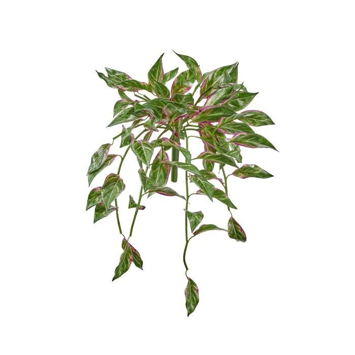 29" Uv Pe Hanging Cordilyne Plant