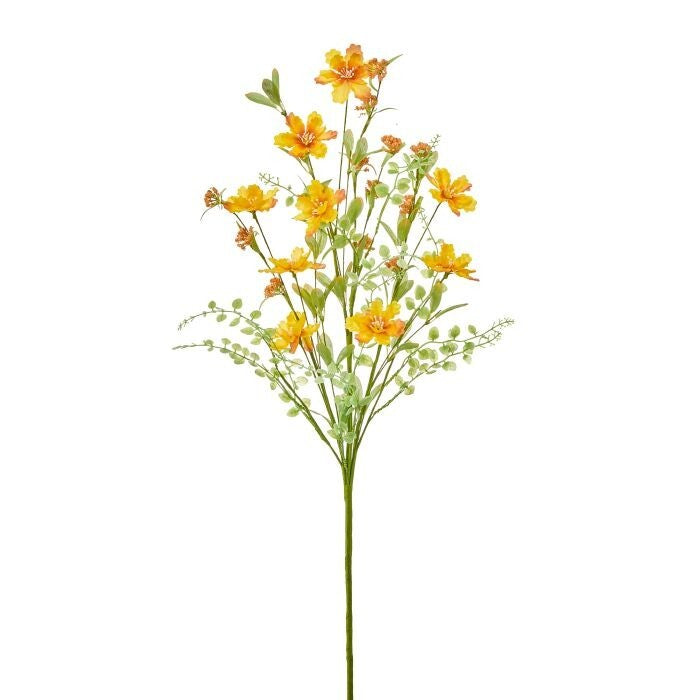 25" Wild Cosmos & Yarrow Bush