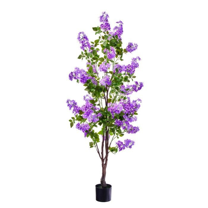 5' Ptd. Lilac Tree