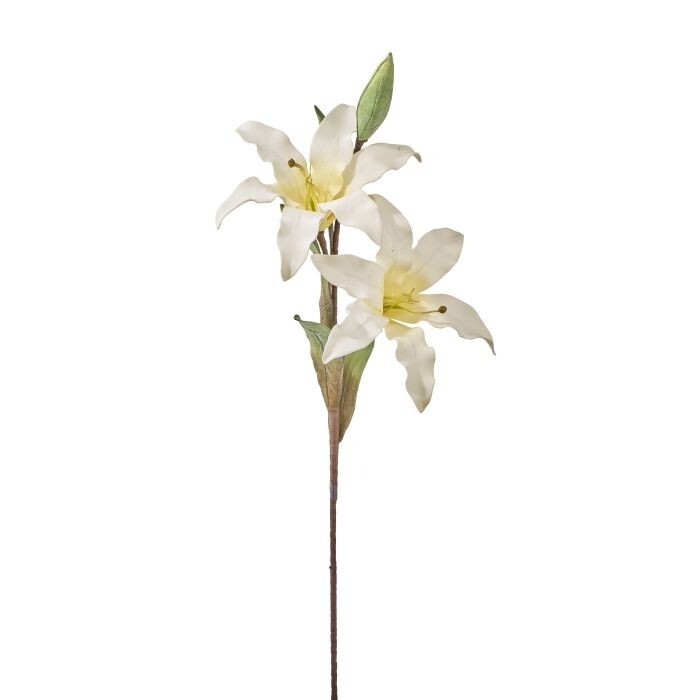 36" Foam Lily + Bud Stem