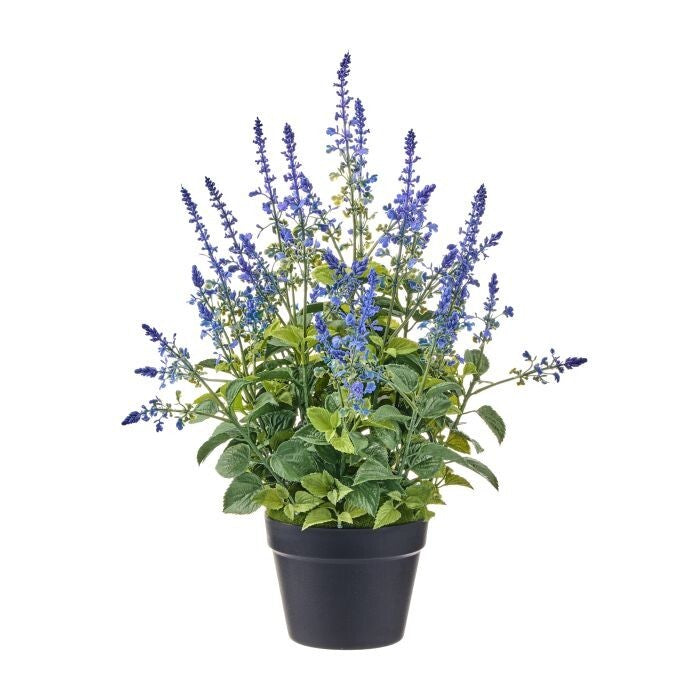 25" Plast. Uv Salvia N 7"D Pot