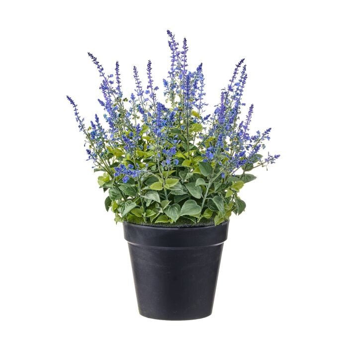 30" Plast. Uv Salvia N 11"D Pot