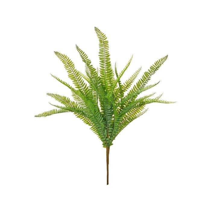 32" Plast. Uv Kimberley Fern Plant
