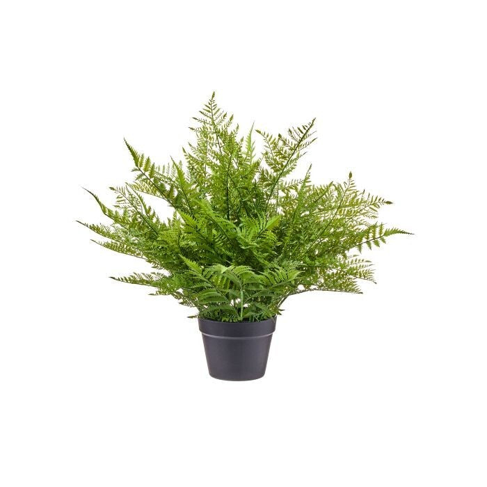 24" Plast. Uv Forest Fern N 7"D Pot