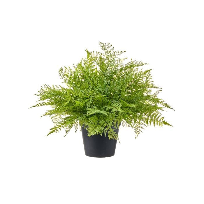 29" Plast. Uv Forest Fern N 11"D Pot