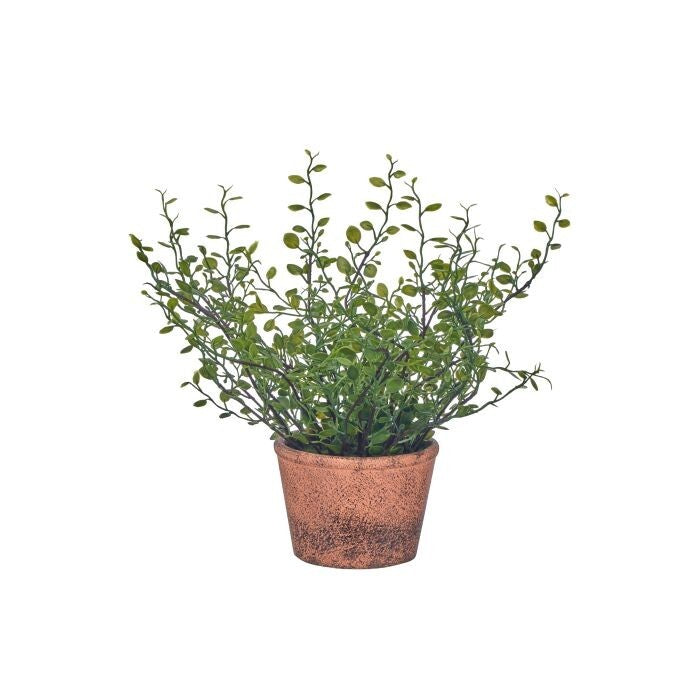 10.5" Ptd. Plast. Angel Vine