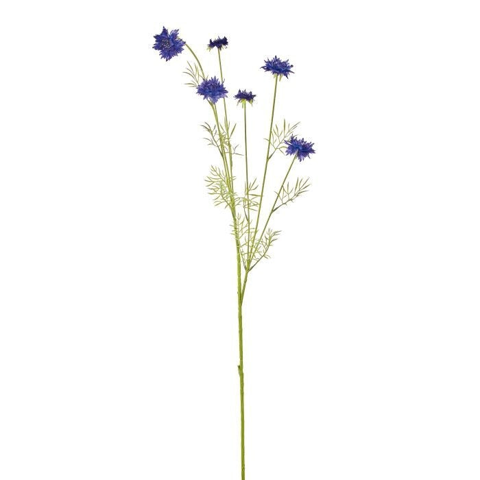 40" Bachelor Button Stalk X6