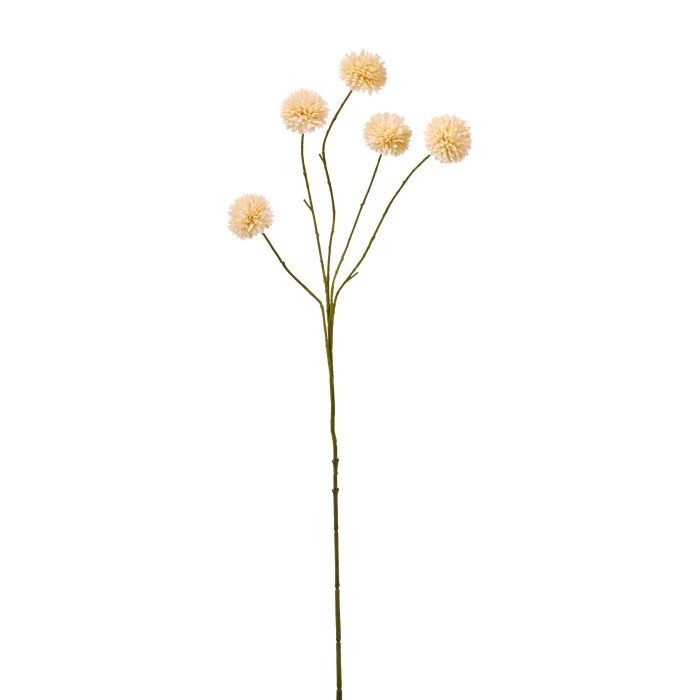 35" Pom Pom Dahlia Stalk X 5