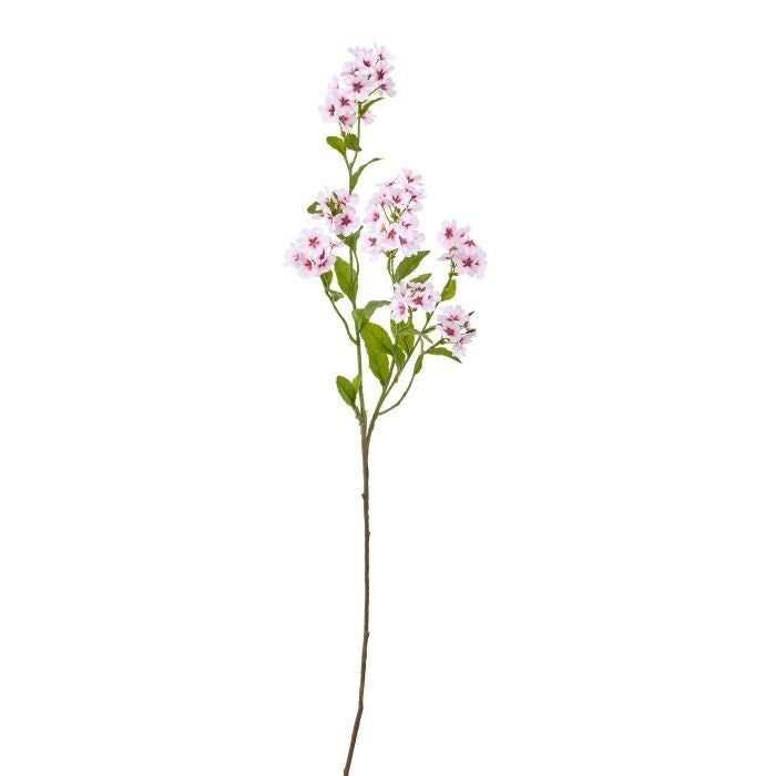 36" Double Phlox Spray