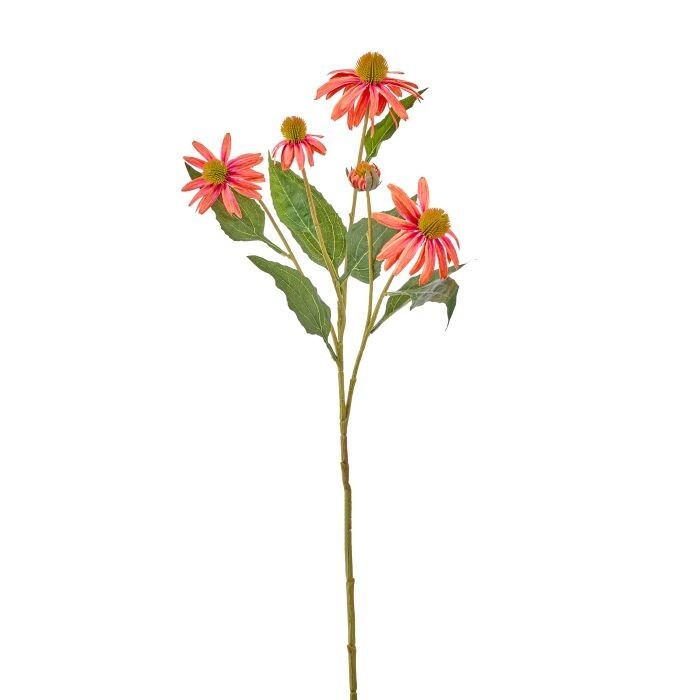 28" Painted Echinacea Spray X 5