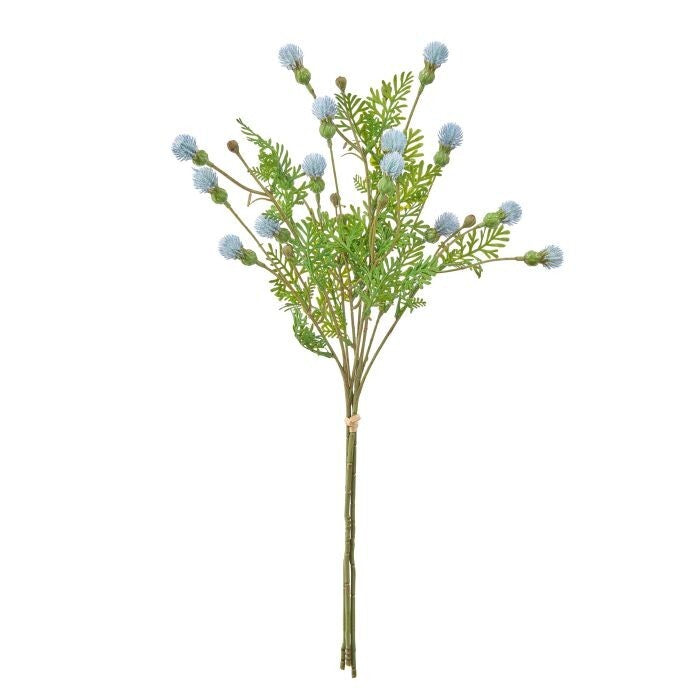 18.5" Timothy Thistle Bunch/3