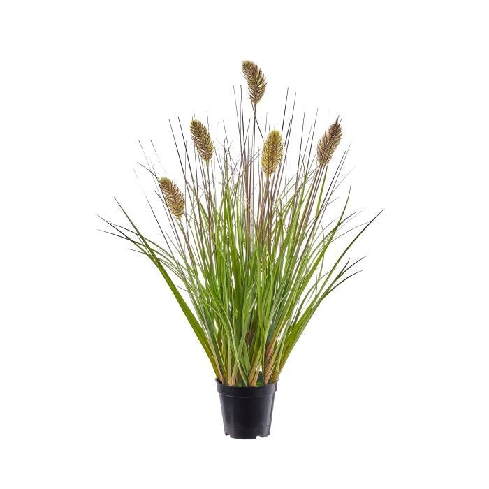 30" Uv Ptd. Foxtail Grass
