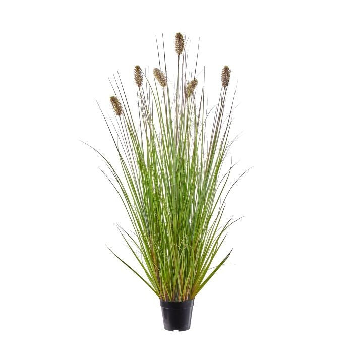 48" Uv Ptd. Foxtail Grass