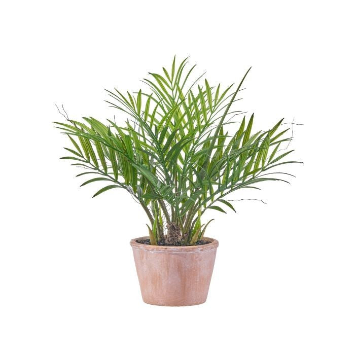 15" Ptd Areca Palm Plant