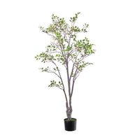 5' Uv Ptd Black Gum Tree X736