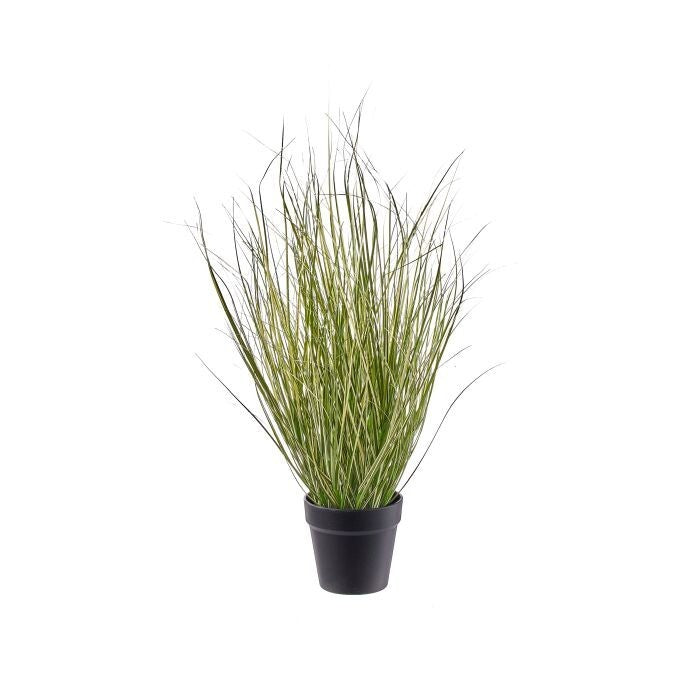 26" Uv Ptd Swtch Grass Plant