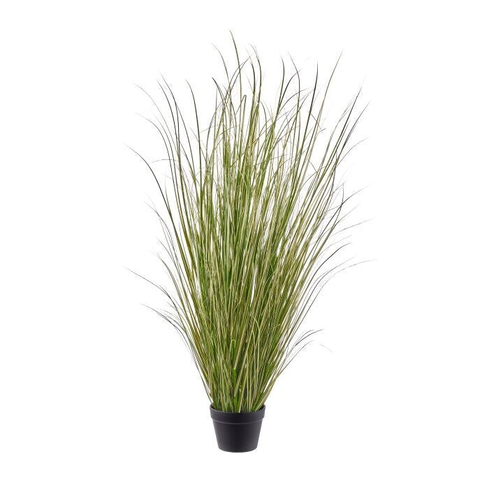 48" Uv Ptd Switch Grass Plant