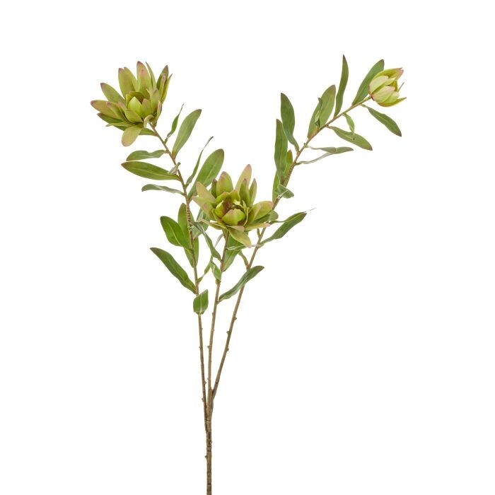 39" Triple Leucadendron Spray