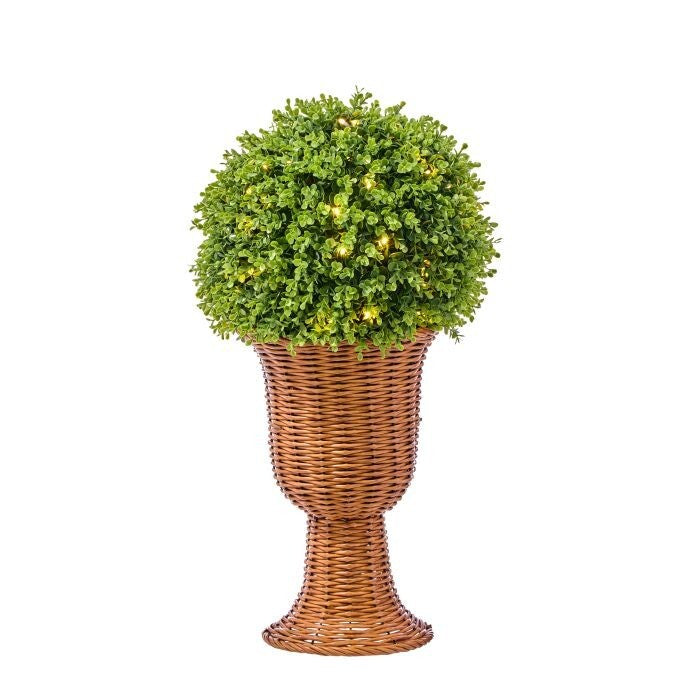 25" Lit Uv Nattch Boxwoodnbasket 70L B/Otmr