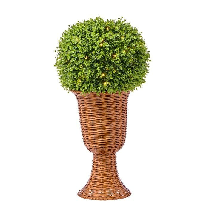 32"Lit Uv Nattch Boxwoodnbasket 90L B/Otmr
