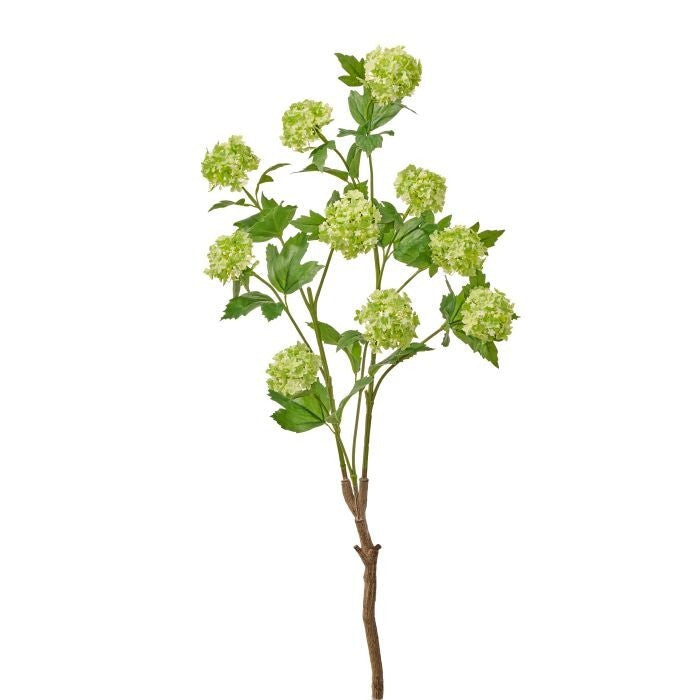 30" Princess Viburnum Branch X10