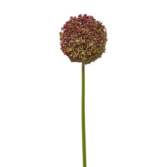 20" Plast. Sedum Ball Spray