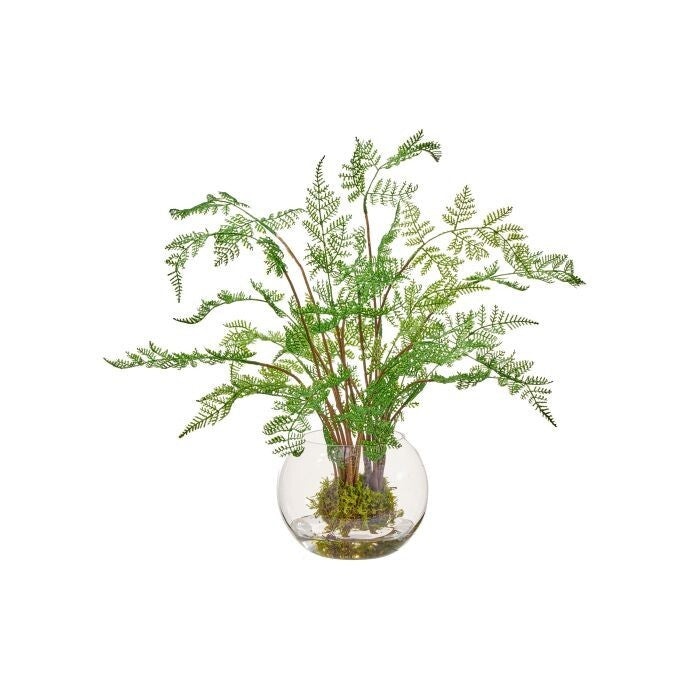 24" Nat Tch Double Forest Fern In Illusion