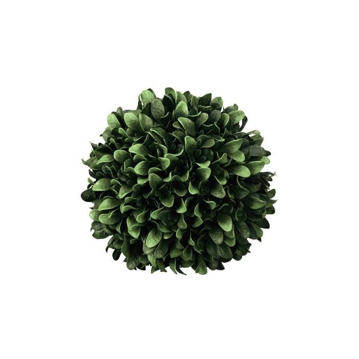 11.5" Uv Pl Jardin Boxwood Orb