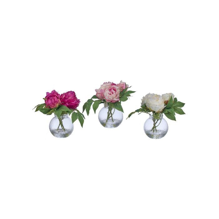 8" Garden Peony X2 + Bud In Illusion 3As
