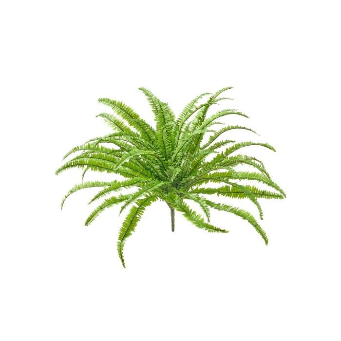 32" Uv Kimberley Fern X 56 Leaves