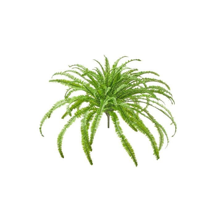 44" Uv Kimberley Fern X 76 Leaves