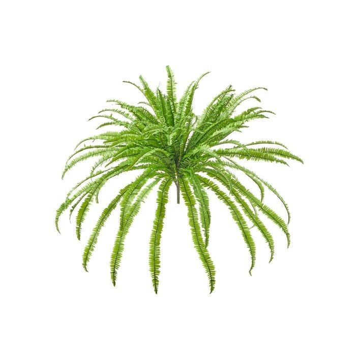 57" Uv Kimberley Fern X 96 Leaves
