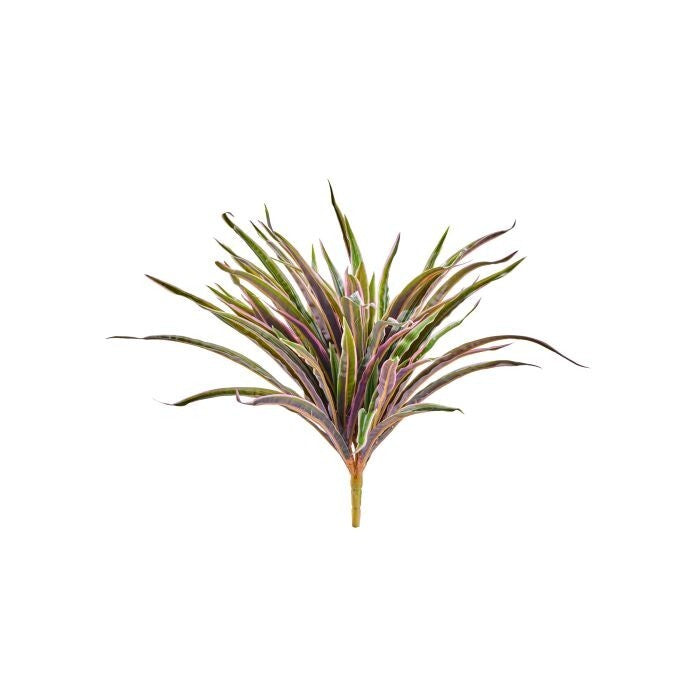 13" Uv Pe Dracena Plant 22"D