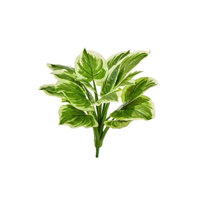 18" Uv Pe Heart Hosta Plant 24"D