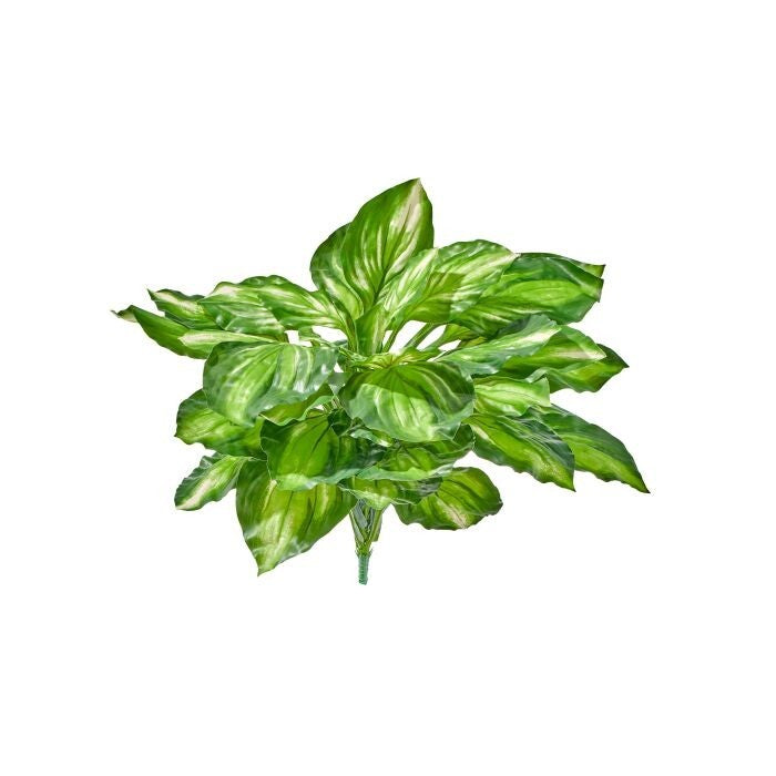 18" Uv Pe Marble Hosta Plant 30"D