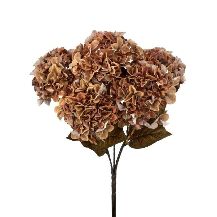 22" Late Autumn Hydragnea Bush