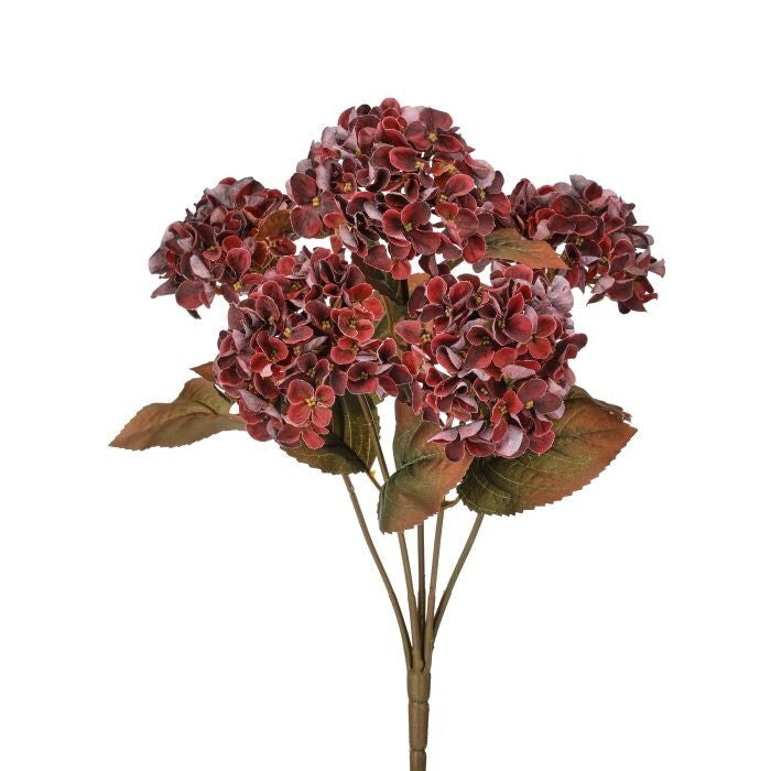 17" Mini Autumn Hydragnea Bush