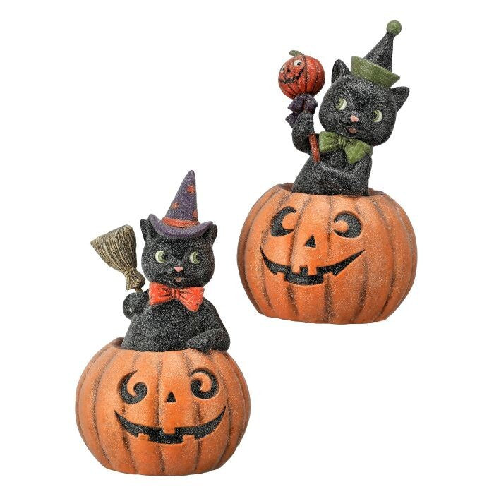 10.5" Ppulp Black Cat/Pumpkin 2/Ast