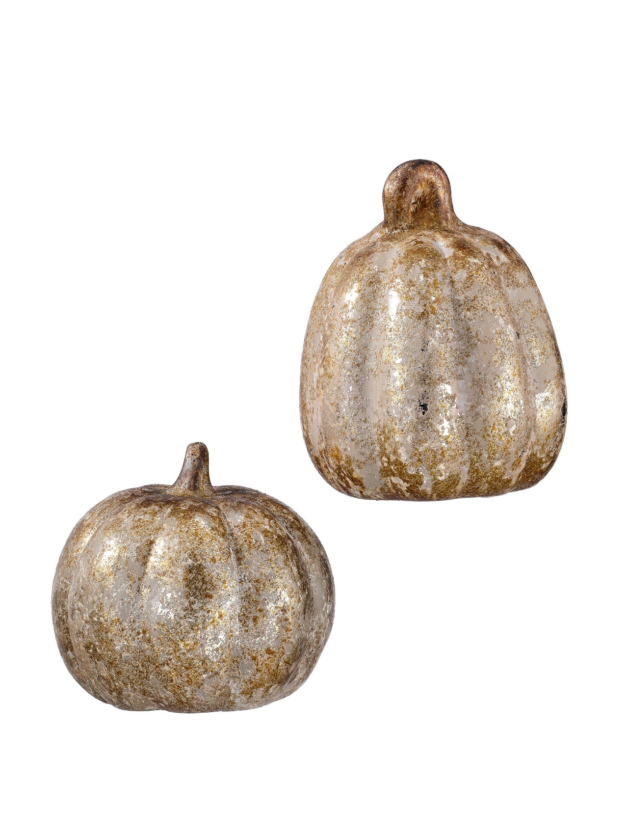 6-6.5" Tc Aged Pumpkin 2/Ast