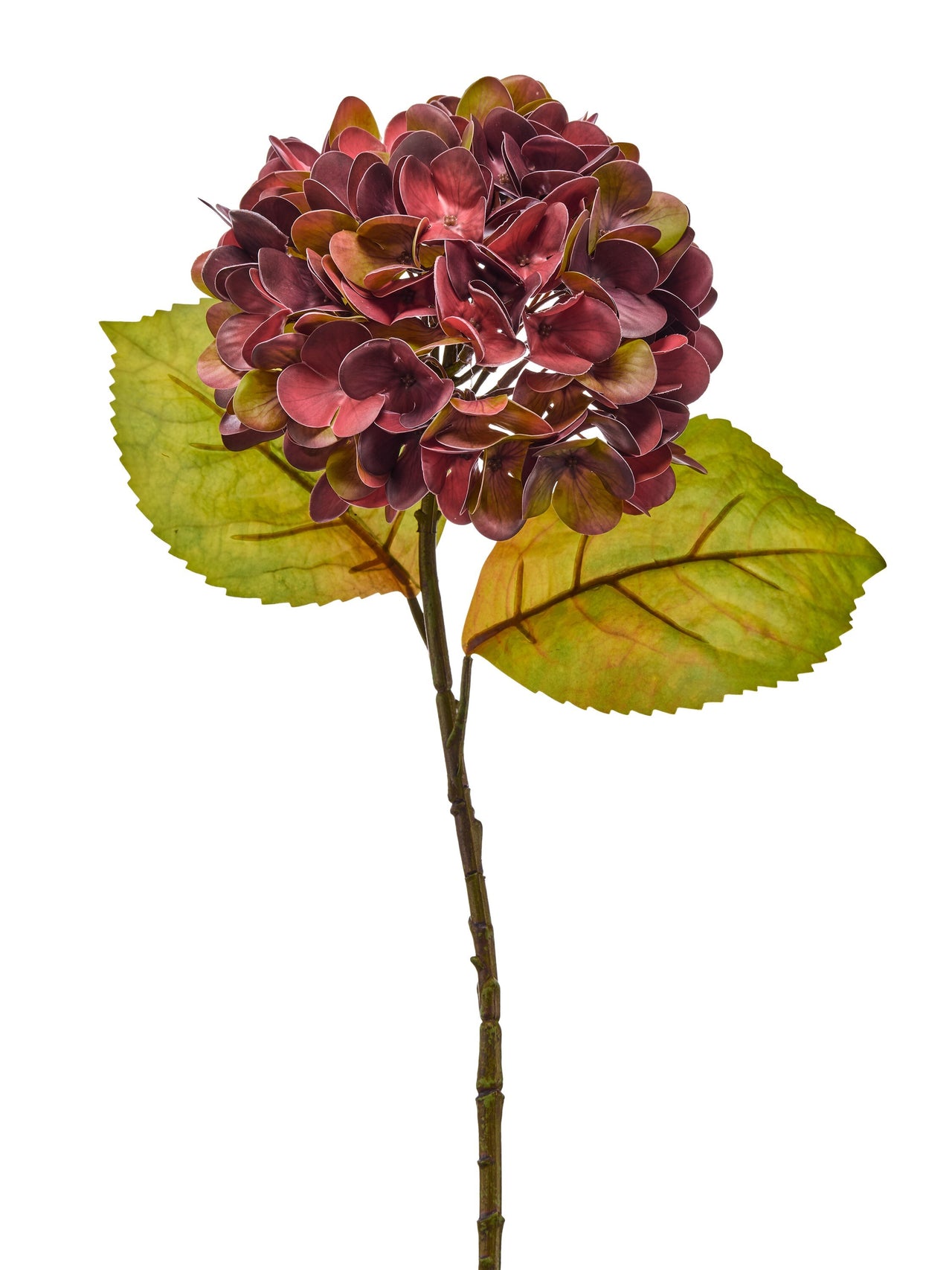23"Just Cut Autumn Hydragnea