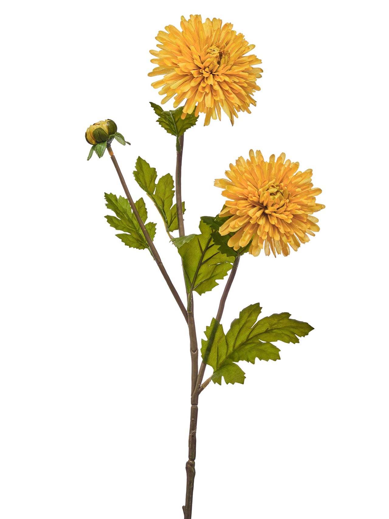 29" Double Disbud Mum Spray
