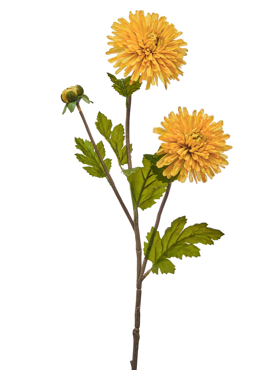29" Double Disbud Mum Spray