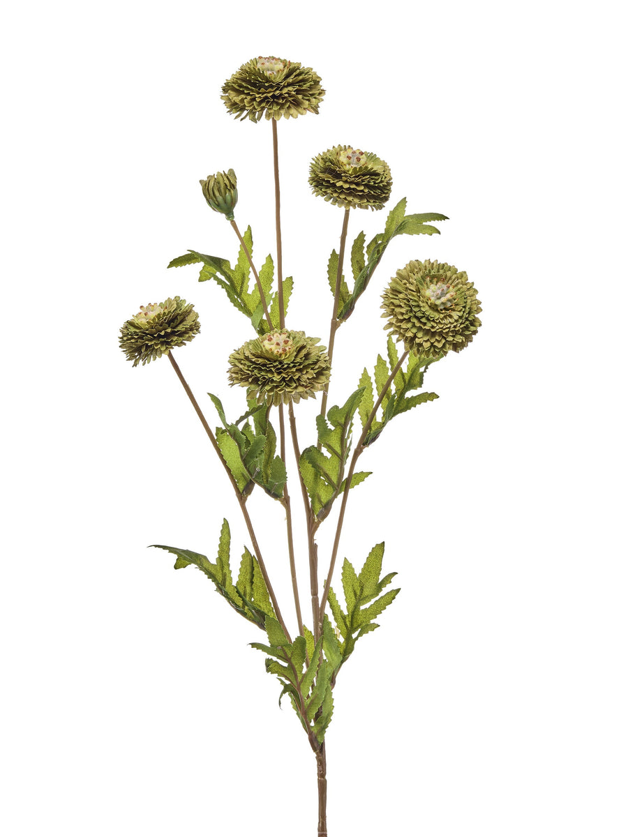27" Button Aster Spray
