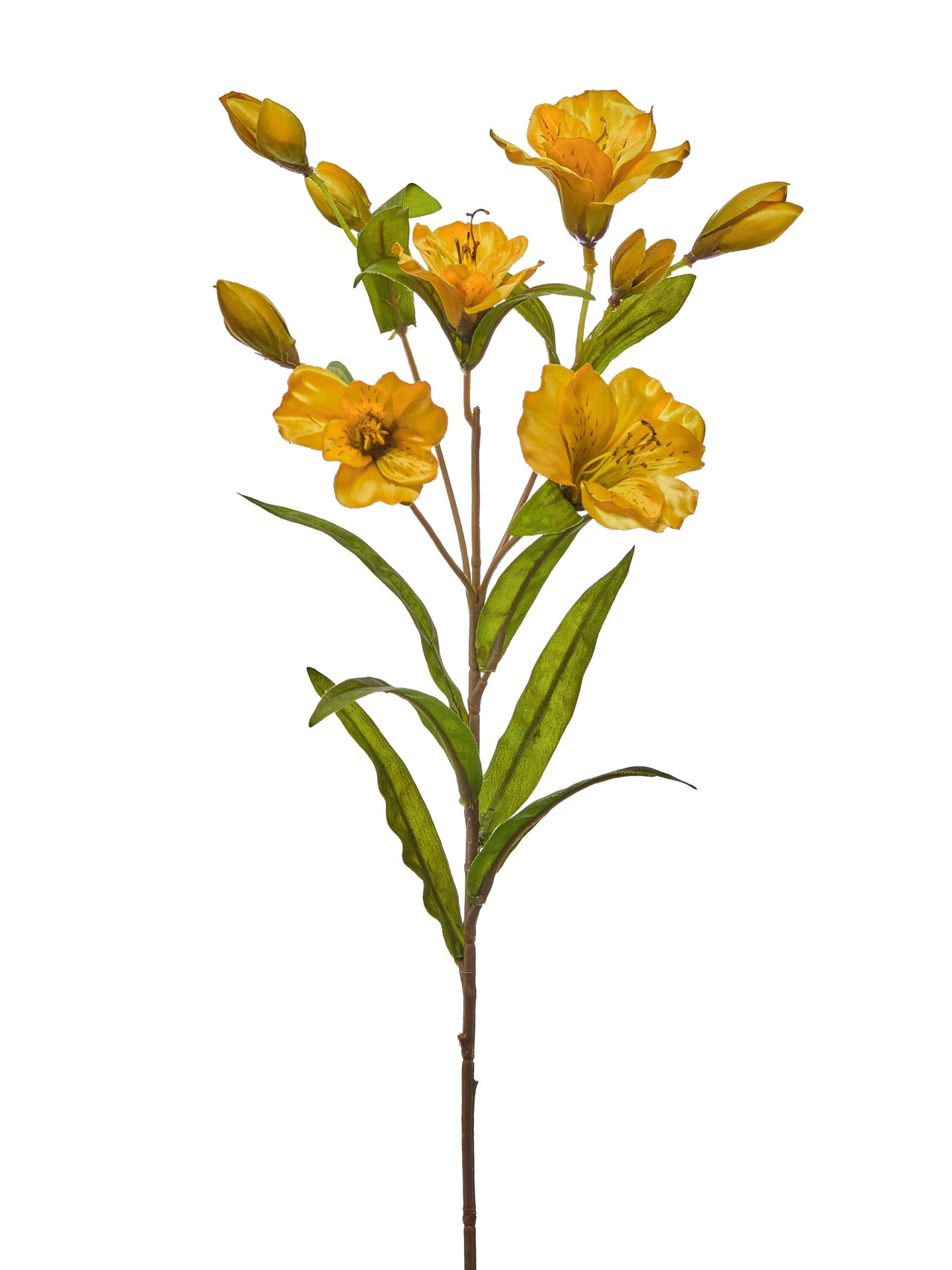 25" Autumn Alstromeria Spray